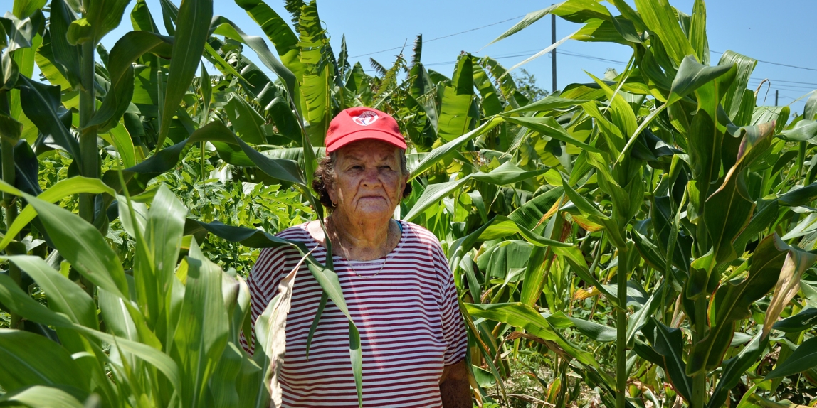 Farming In Long Island