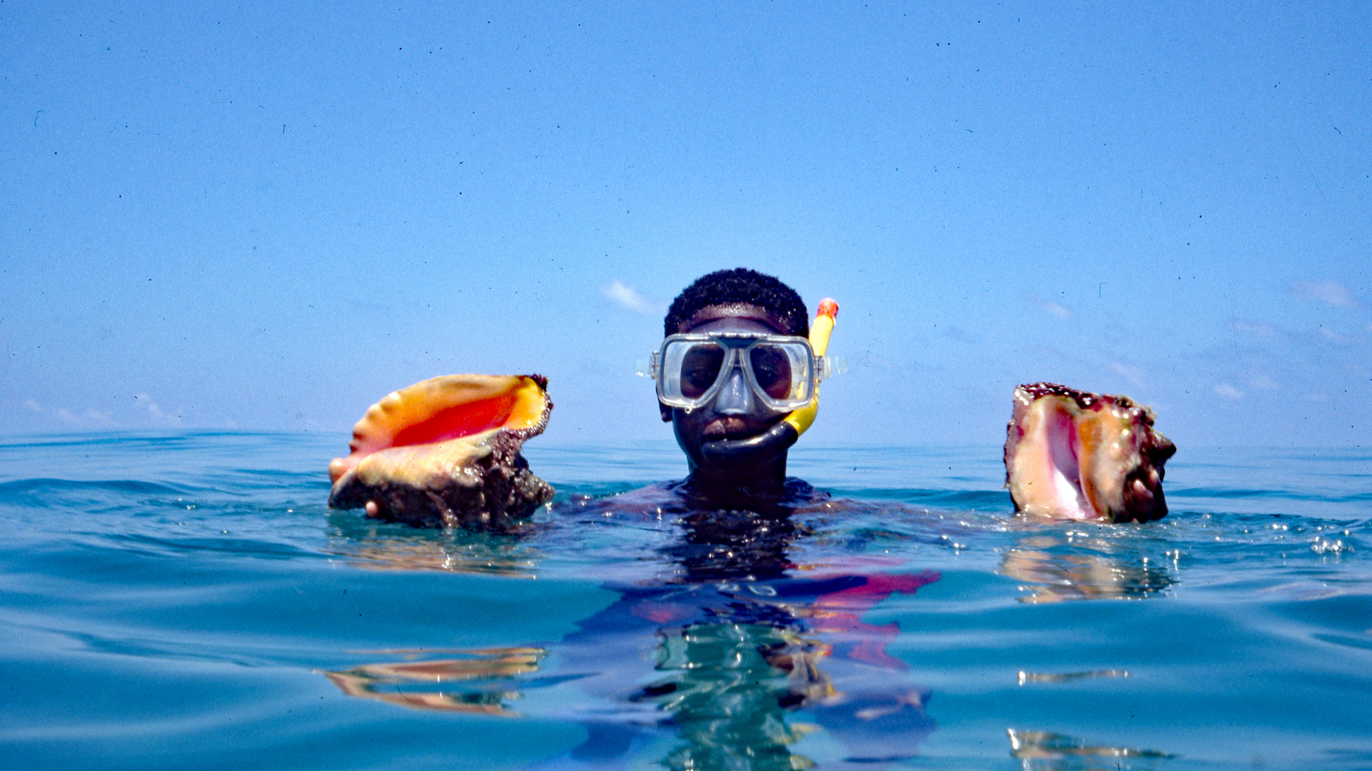 Boy diving for conch